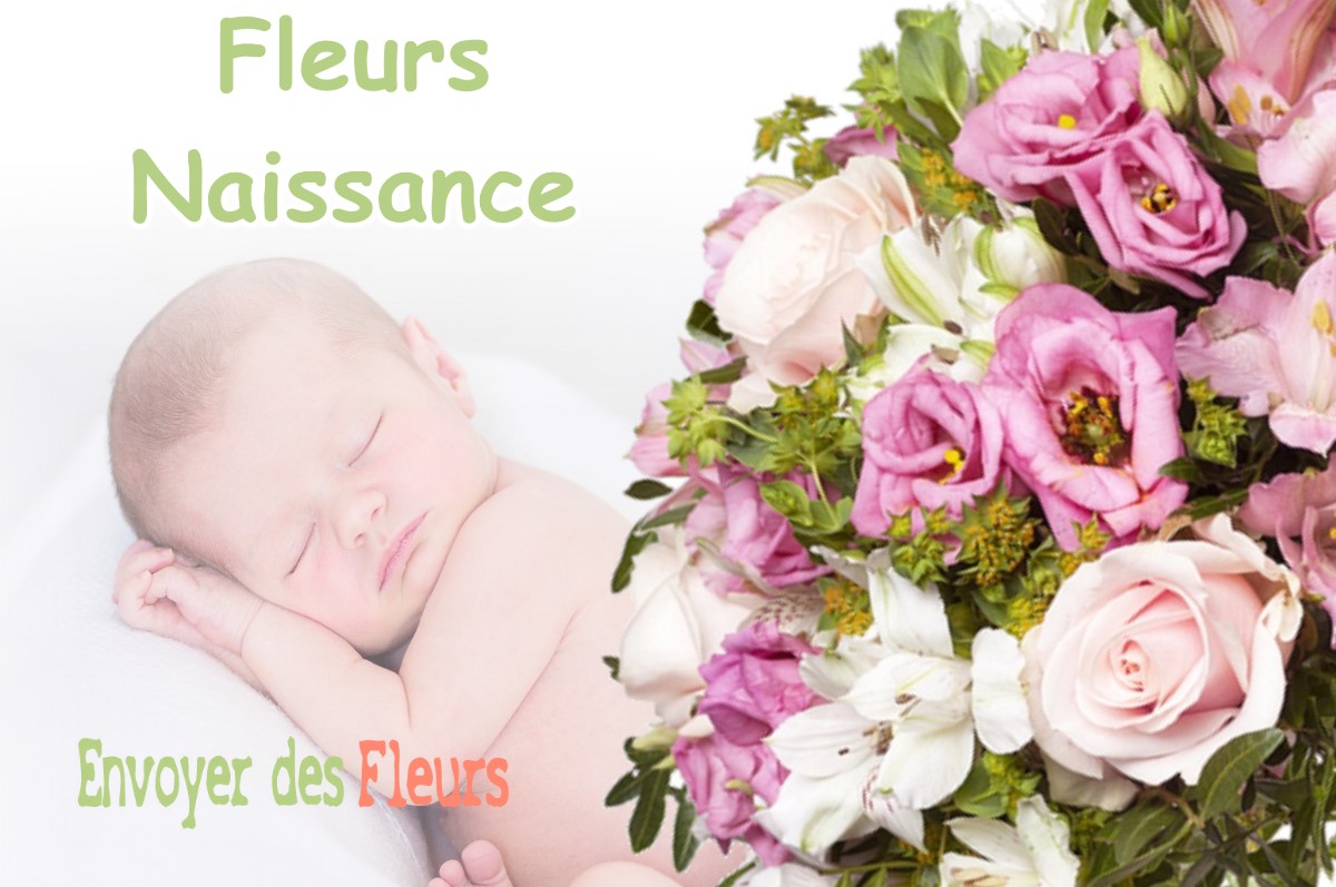 lIVRAISON FLEURS NAISSANCE à MONTCHABOUD